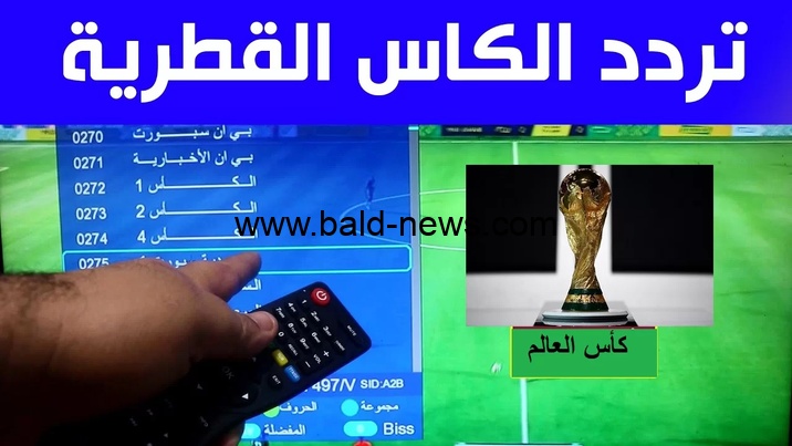 تردد قناة الكأس الرياضية القطرية 2023 بالنايل سات إتش دي