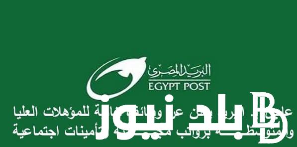 فرصة سارة لكل شاب … زيادة أعداد تعيينات فى وظائف البريد المصري 2023