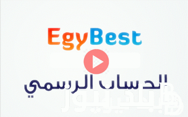 Link to running the original Egybest 2023 website for Android to follow everything that is exclusive on Egybest NOW – Balad News