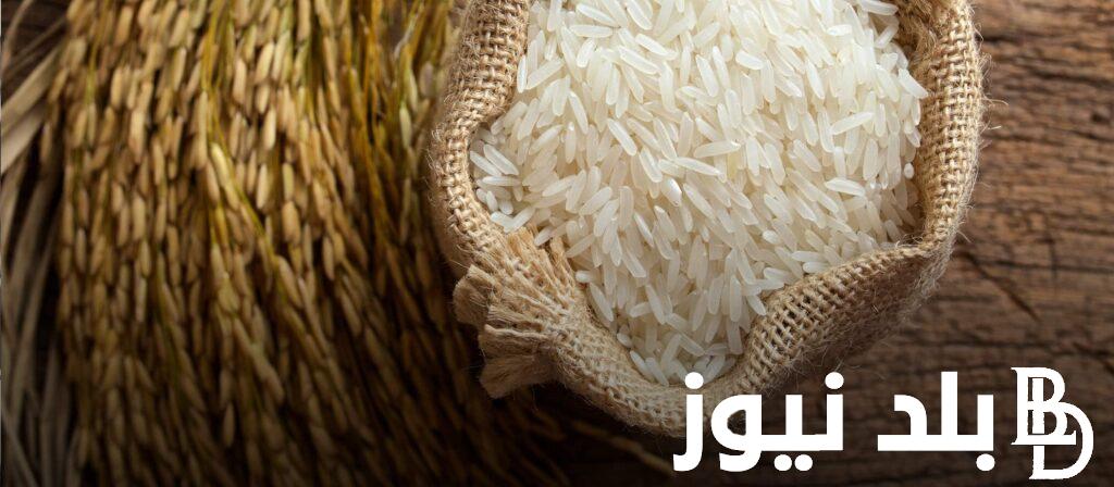 How much?.. The price of a ton of barley rice today, Monday 12-4-2023, for the consumer in the markets – Balad News