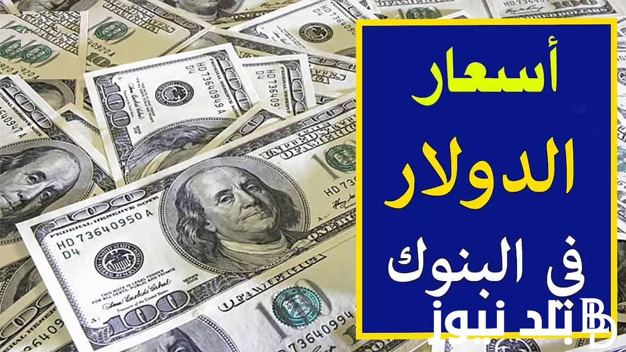 The price of the dollar against the pound on the black market today, Sunday 12-3-2023, in all banks – Balad News