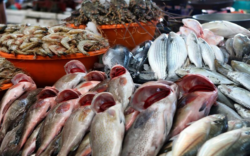 اسعار السمك اليوم الاثنين 12 فبراير 2024 فى جميع الاسواق المصريه