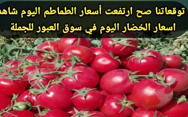 “أسعار الخضروات بالكيلو” اسعار الطماطم اليوم في سوق العبور الاثنين 12/2/2024 للمستهلك في مصر